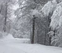 Akkuş Karlı Yollar 2018